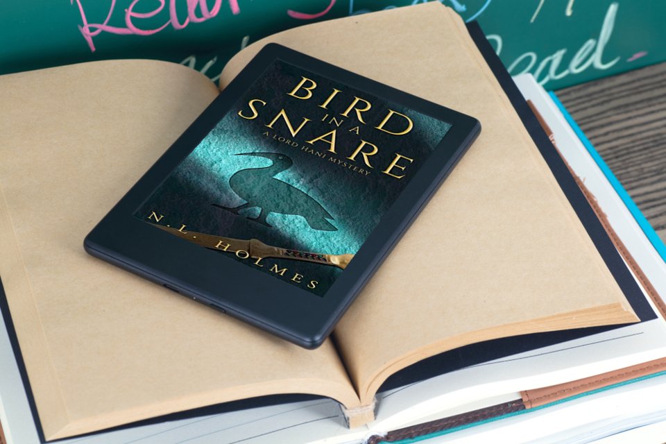 Book Promotion tweet media