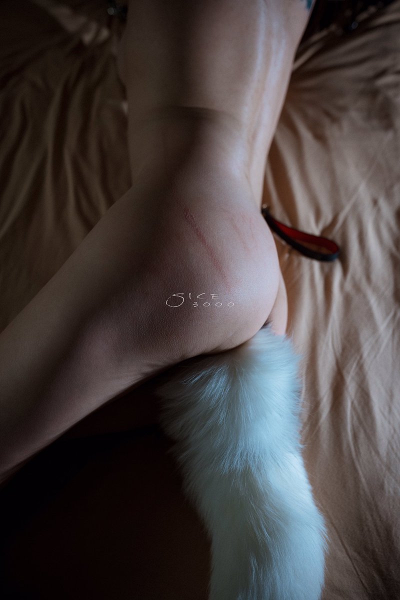 西池Sice tweet media