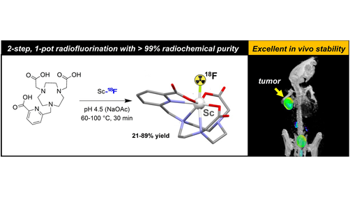 Angewandte Chemie (@angew_chem) on Twitter photo An Unusual Pair: Facile Formation and In Vivo Validation of Robust Sc-18F Ternary Complexes for Molecular Imaging (Boros) <a href="/e_boros/">Eszter Boros</a> onlinelibrary.wiley.com/doi/10.1002/an⦠An Unusual Pair: Facile Formation and In Vivo Validation of Robust Sc-18F Ternary Complexes for Molecular Imaging (Boros) <a href="/e_boros/">Eszter Boros</a> onlinelibrary.wiley.com/doi/10.1002/anā¦