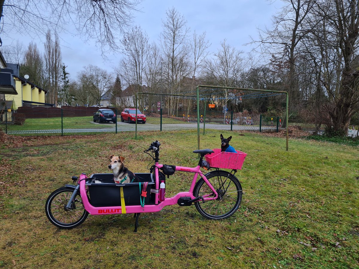 Erste Tour 🐕🐶🥰😊