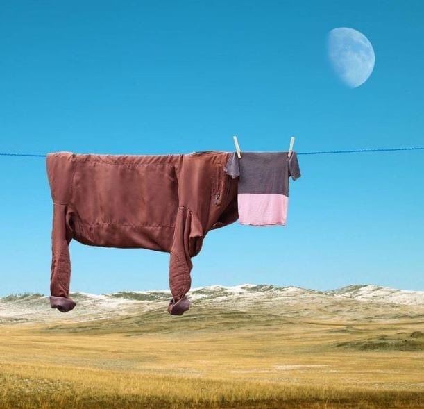 maybe_viola's tweet photo. Anche questa è arte. Realizzata con il bucato da stendere. https://t.co/QyXGoX5eql