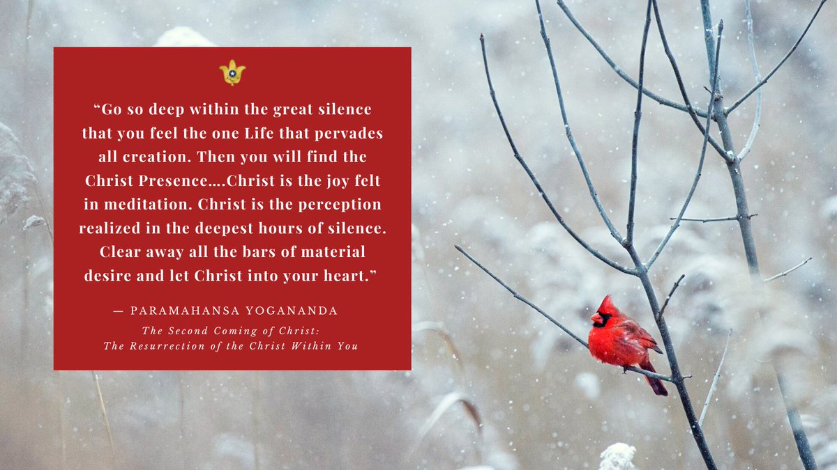 srfyogananda's tweet photo. Wisdom from Paramahansa Yogananda, “The Second Coming of Christ: The Resurrection of the Christ Within You” https://t.co/11E3sRgMMa