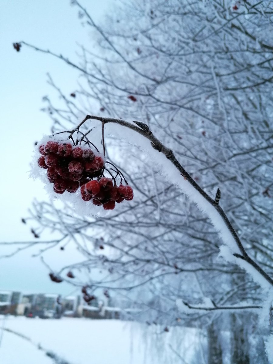 Onneksi kelit suosii ja pulkkamäkeen pääsee rajoituksista huolimatta. Taas jaksaa parantaa maailmaa.