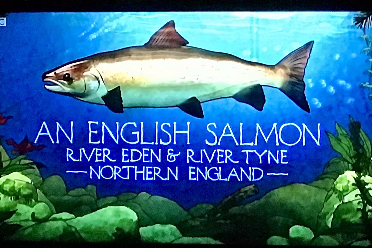 Gethin Jones (@gethinjones123) on Twitter photo This was so good, I’m going to watch it again. And probably again after that. <a href="/MWGoneFishing/">Mortimer & Whitehouse: Gone Fishing</a> 🎄🎣 This was so good, I’m going to watch it again. And probably again after that. <a href="/MWGoneFishing/">Mortimer & Whitehouse: Gone Fishing</a> 🎄🎣