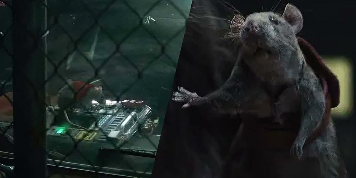 LennyAhdour's tweet photo. @PatrickAdemo On parle pas assez du rat... 

Il a sauvé l'univers quand même ! https://t.co/brOUQUF0pC