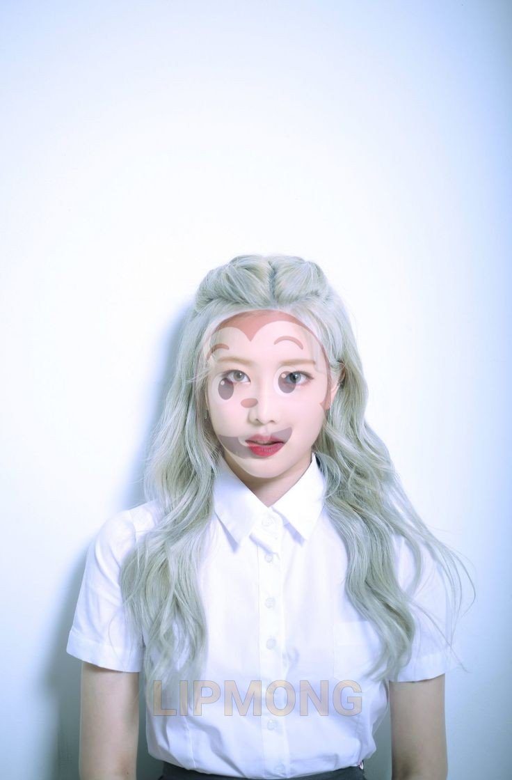 lipmong's tweet image. dia 9