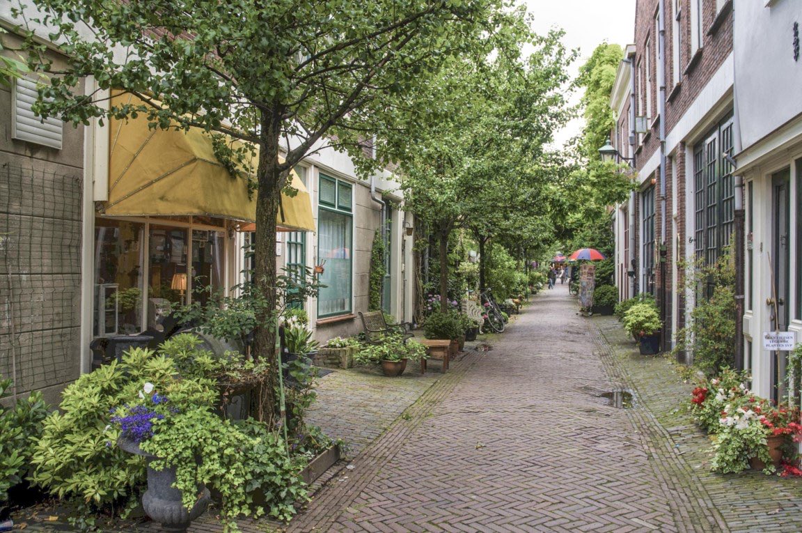 <a href="/kkklawitter/">Ottokorrektur</a> Als mit der Post der Brief kam, dass meine Strasse in eine Fahrradstrasse umgebaut wird und dafür selbst der Parkstreifen auf einer Seite verschwindet 🥰
Folgender Schritt ist dann die Gartenstrasse: