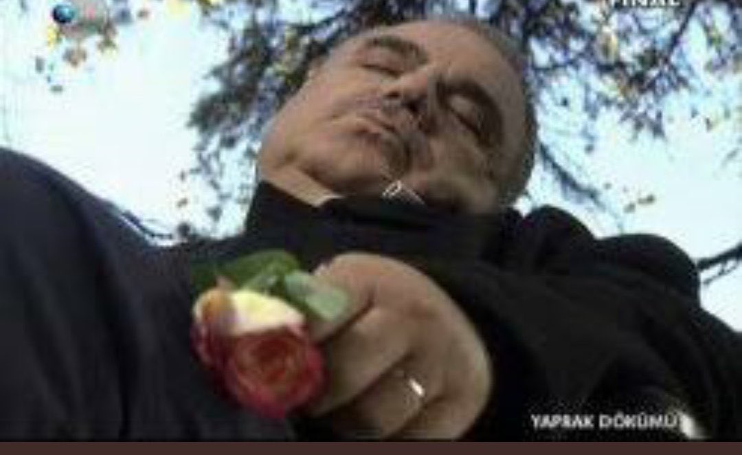 heysemoli's tweet photo. bugün hem bihteri hem de ali rıza beyi toprağa verdik, zor bir gündü 
#yaprakdökümü #askimemnu https://t.co/pWS18VCsBD