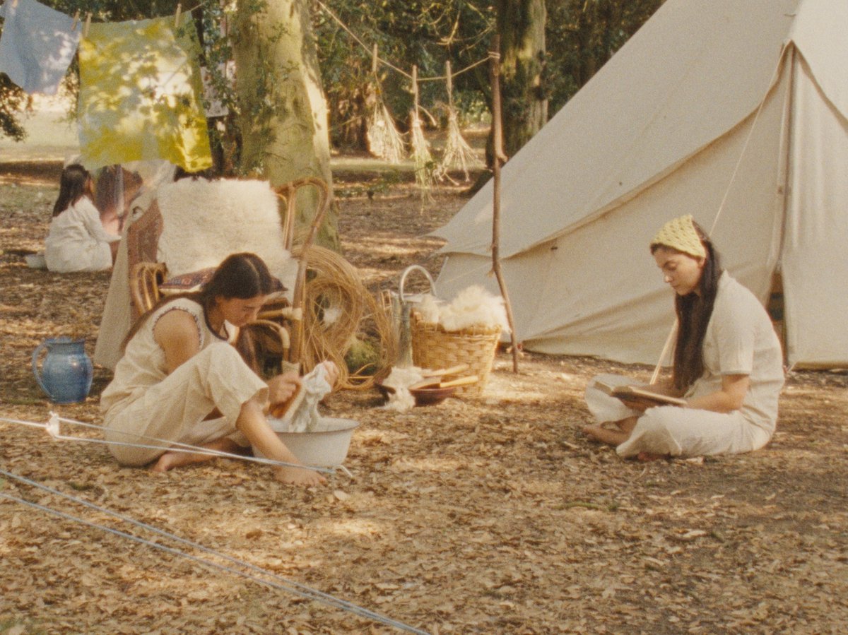 FilmSolidago's tweet image. thanks for the feature @kodak_shootfilm  
instagram.com/p/CX_2vSSPRVE/

#ShotOnFilm #16mm