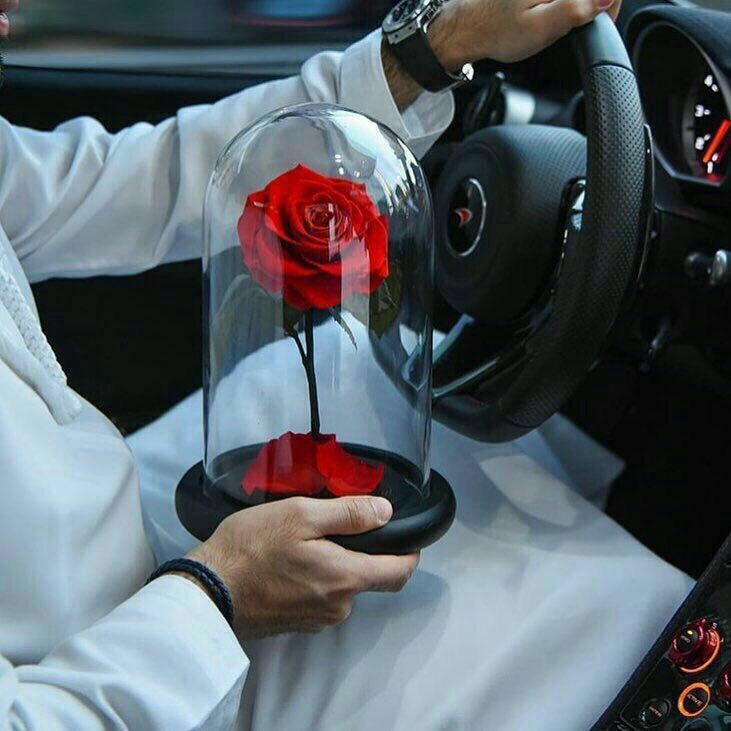 "هناك أشخاص عرفتهم صدفة، 
اقنعوني أن الصدف أحيانا ورائها سعادة "