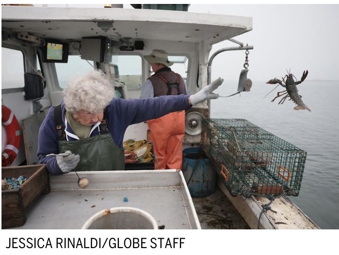 ⁦<a href="/BostonGlobe/">The Boston Globe</a>⁩ published its photos of the year today. This one, of a 101-year-old lobsterwoman tossing one off the boat, is my favorite.