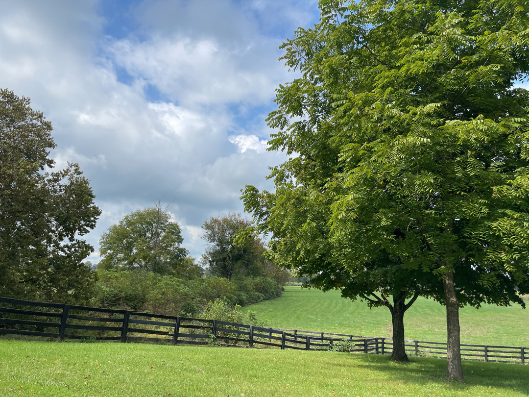 BLConservancy tweet media