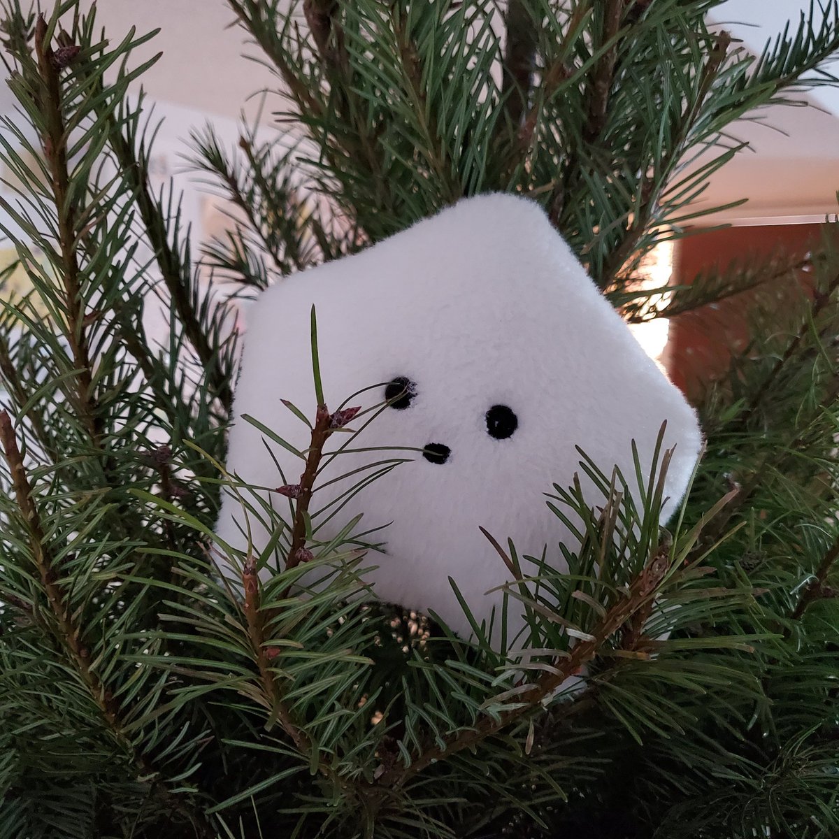 sucklet7's tweet photo. just a reminder that i am the star.
#sucklet #starlet #treelet https://t.co/3FHhch1btL