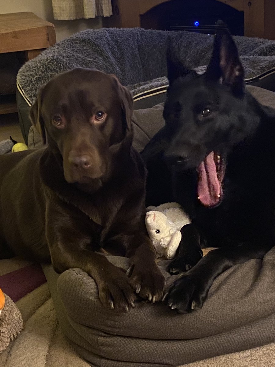 Me and my pal Enzo x