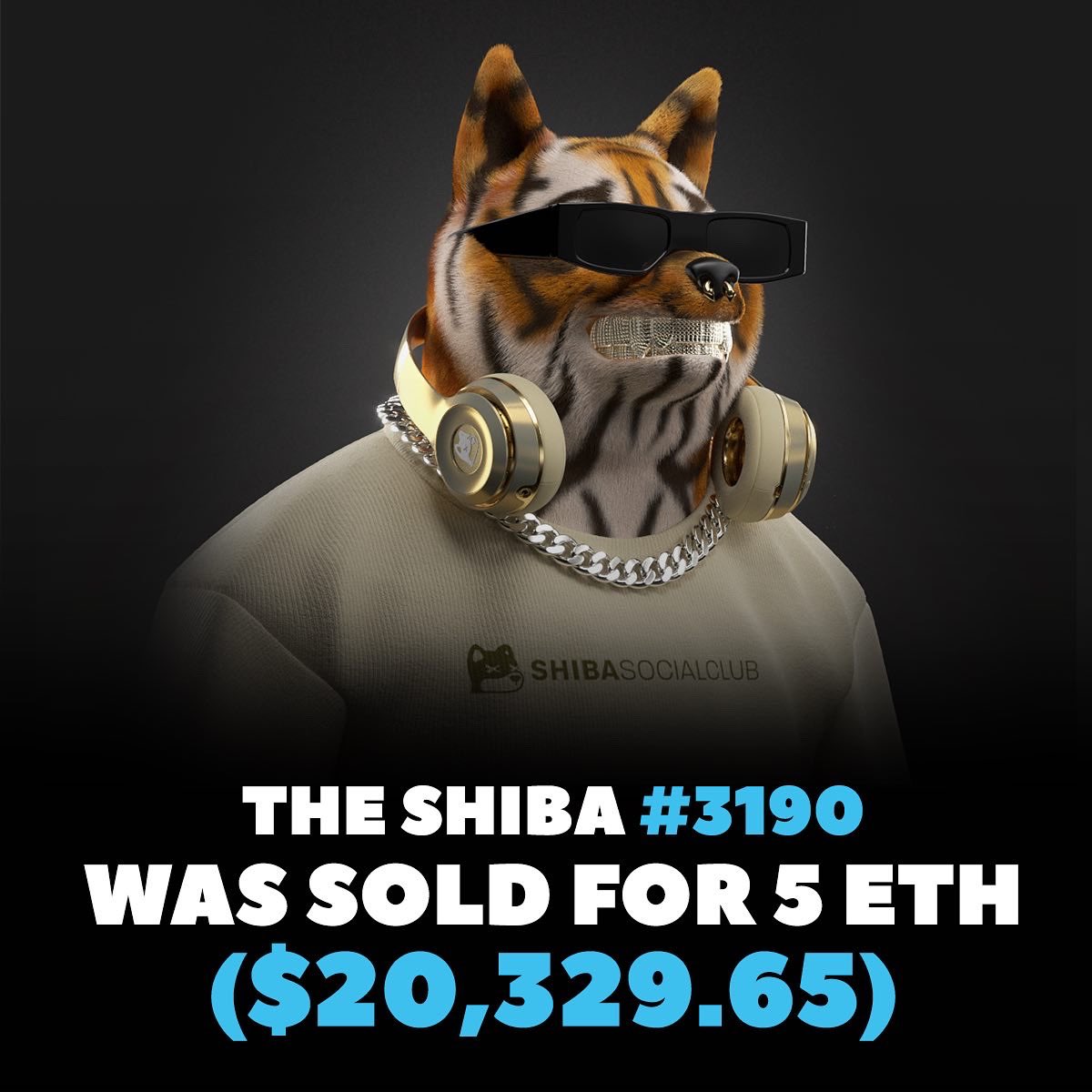 Shiba Social Club tweet media