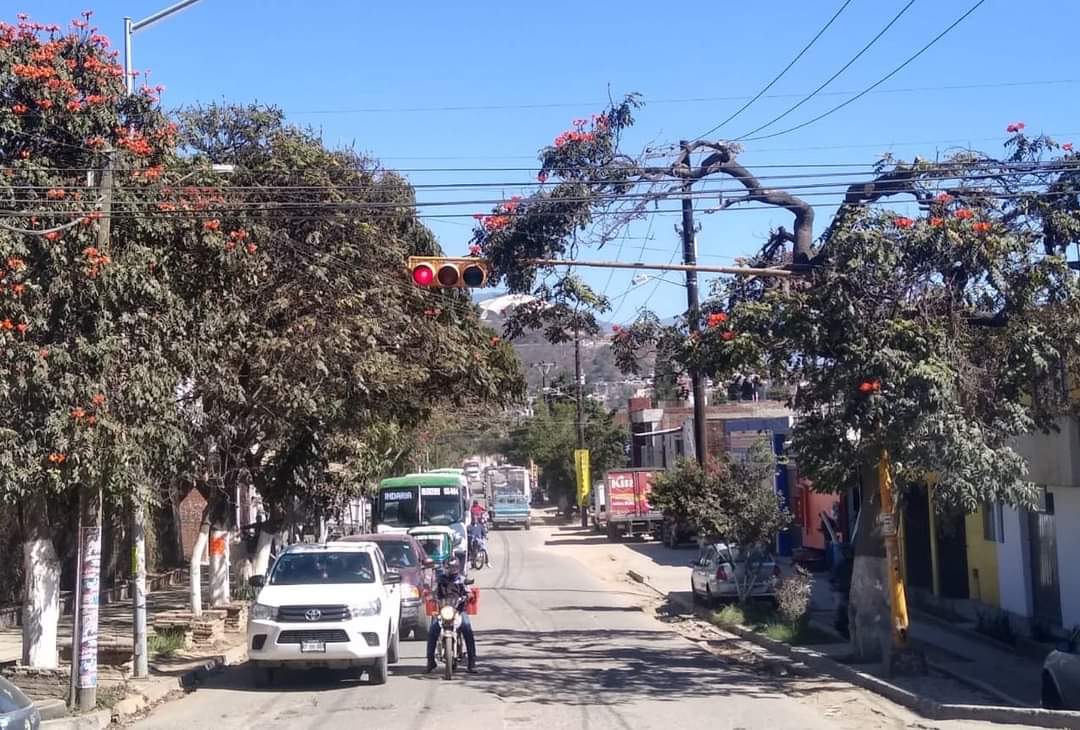 Personal técnico de la Policía Vial Municipal laboró en la reparación de semáforos en diferentes puntos de la ciudad capital. #Oaxaca #UnBuenGobiernoParaTodos