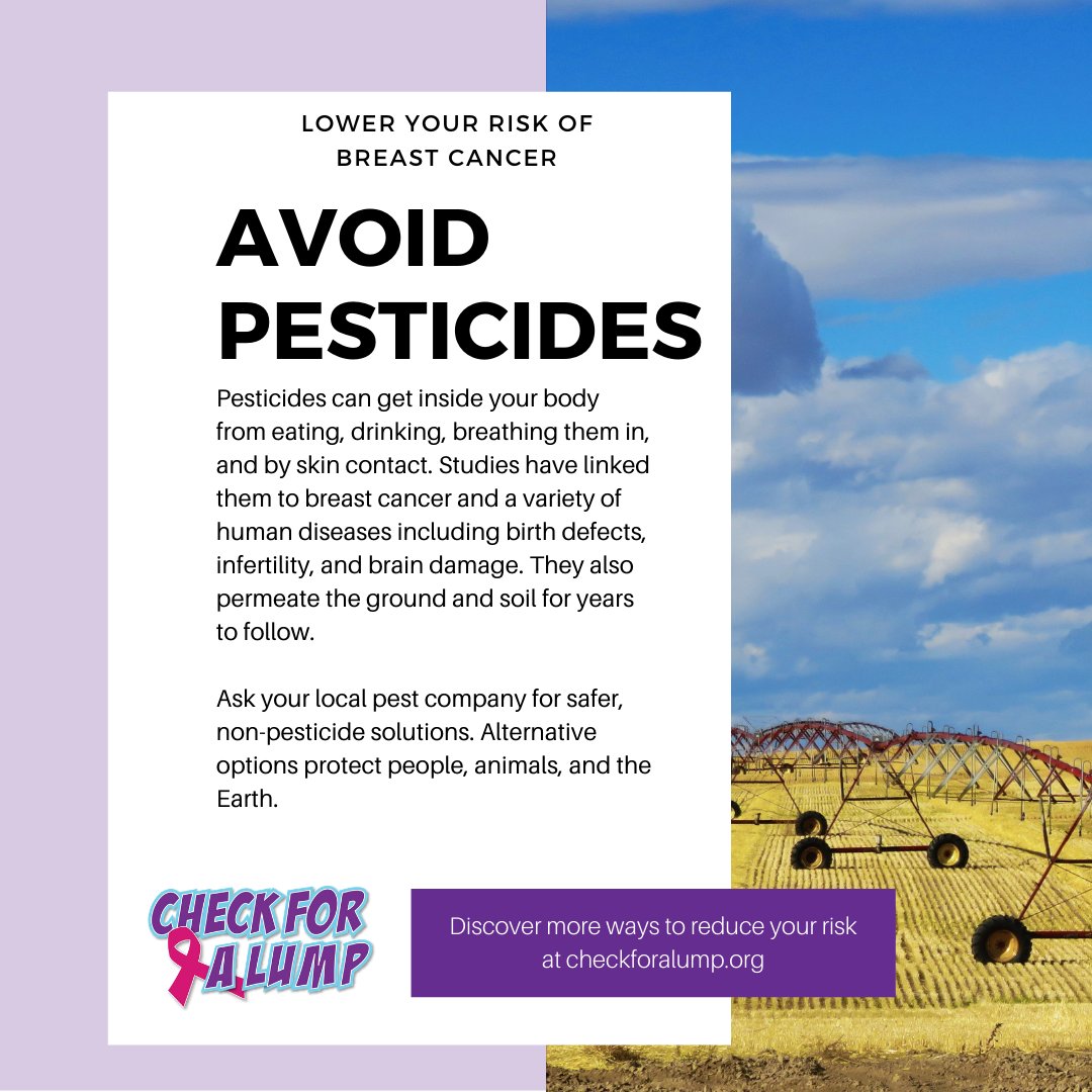 Did you know you can ask your local pest control company for safer, non-pesticide solutions when treating your yard and house? Pesticides have been linked to breast cancer and a number or other diseases. #LowerYourRisk #SaferSolutions #breastcancer #checkforalump #checkforalumpaz