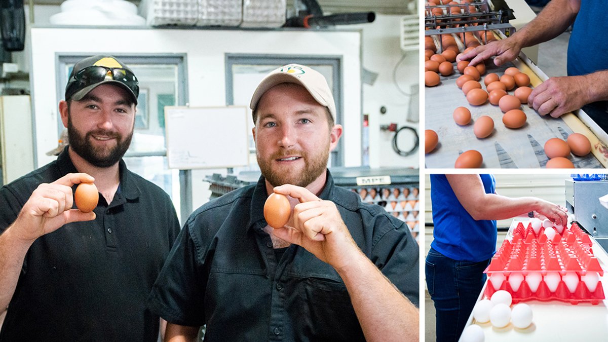 Egg Farmers tweet media