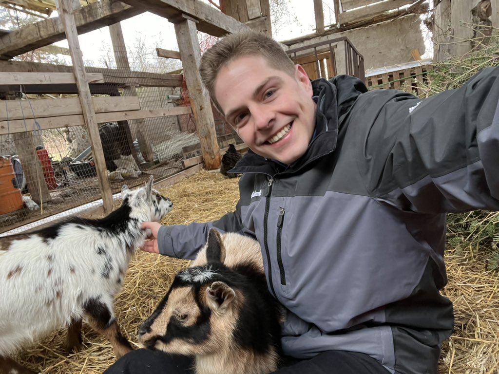 ColtonWiensCTV's tweet photo. The Rodrigues farm in Ayr is accepting Christmas trees for their goats who love eating the tree down to the stump. Rosie the goat also likes people. What options are available for getting rid of a Christmas tree tonight on @CTVKitchener https://t.co/Nujm2aL9Rt