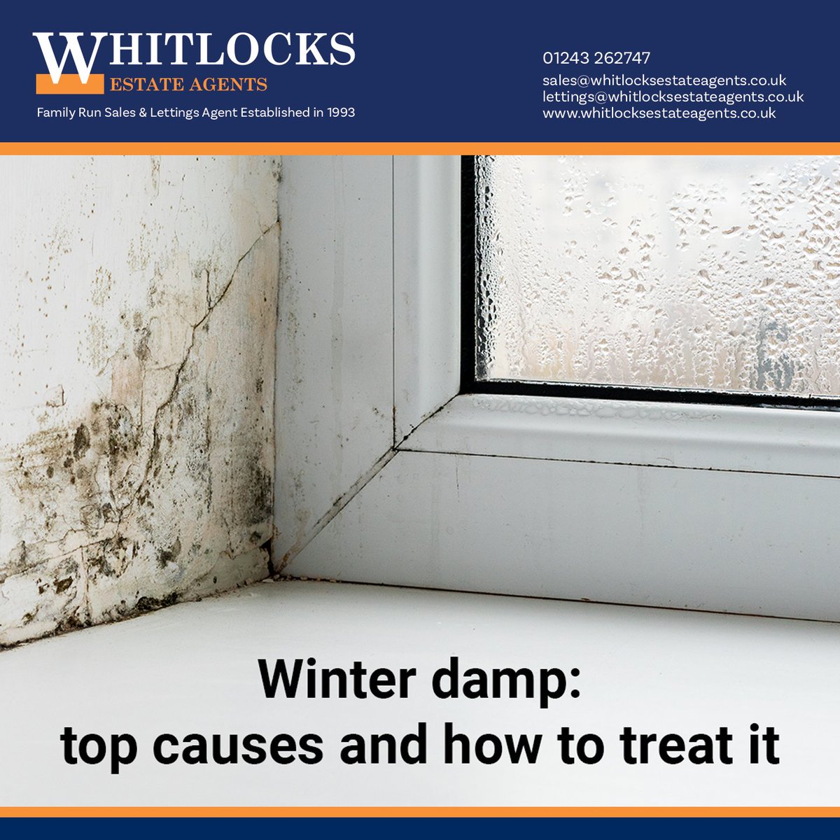 Winter damp can strike at any time, in any home.

Whilst it may come across as nightmarish at first, here is how you can tackle Winter damp damage:
ow.ly/6uZ050H0QQ7