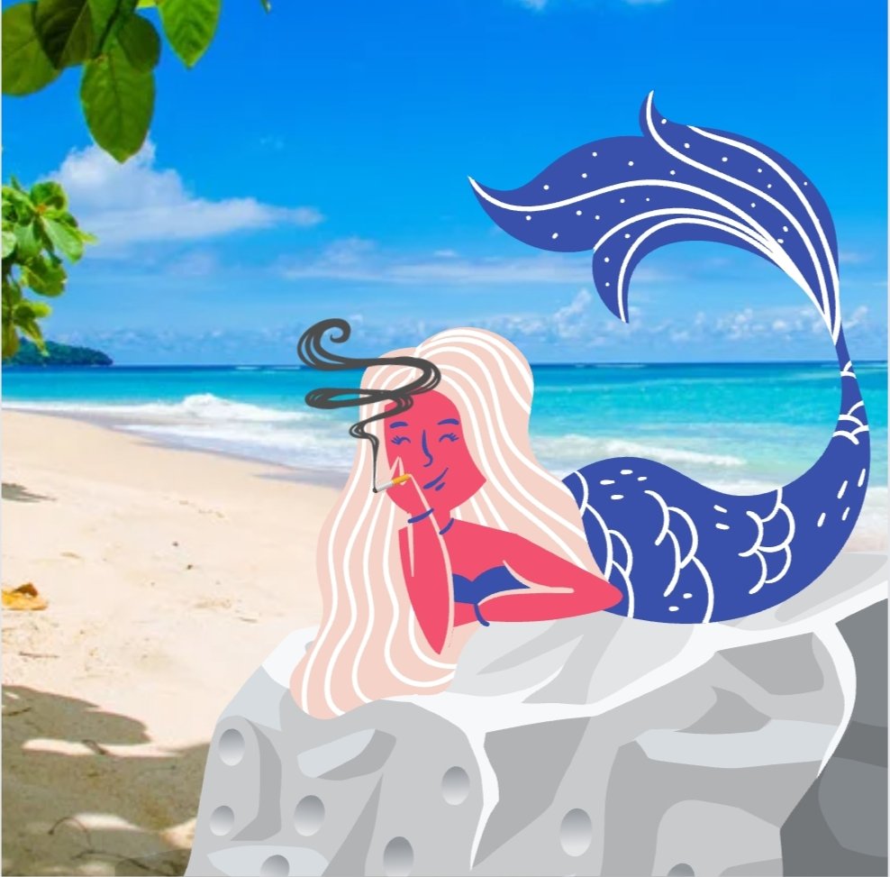 Mermaidian1's tweet photo. @BuggNFT https://t.co/Zn3oxBA8M9
