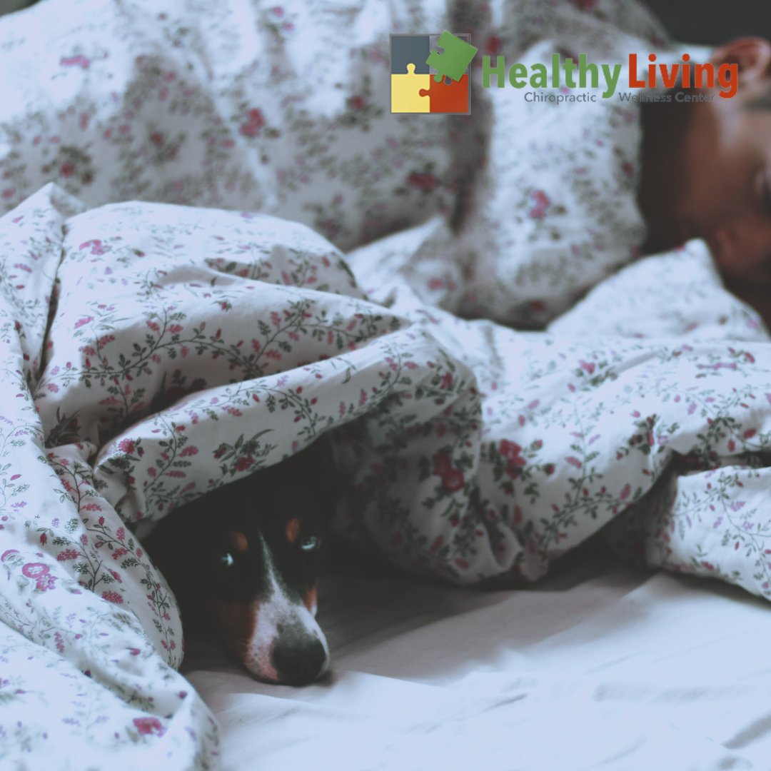 DoctorOrta's tweet photo. Maintain your natural #Posture while #Sleeping by lying on your side with a small pillow between your knees. #SleepTip https://t.co/98gfByOnZy