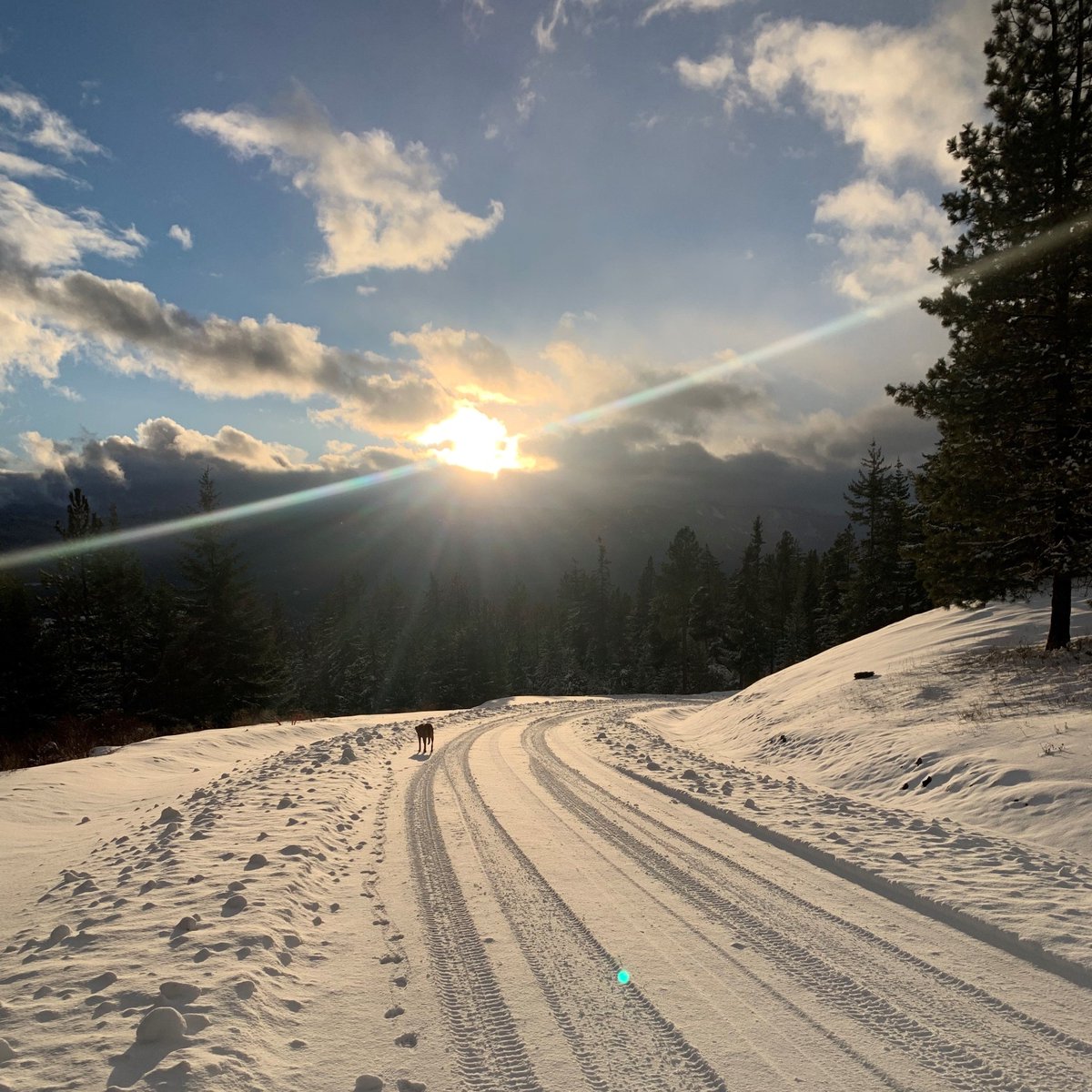 MPWauthor's tweet image. Ginger. Snow. A gorgeous view. I’m starting to see a trend here.

#writerslife #snowvibes #landscapephotography