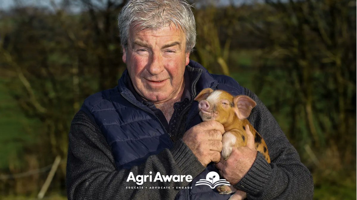 Dermott Allen is the owner of Winetavern Farm in Co. Wicklow 🐷🐖

He is the largest breeder of Oxford Sandy &amp; black pigs in the world, these pigs feed on the native Irish forest floors 🌲🌳

<a href="/winetavernfarm/">winetavernfarm</a> is the latest feature of our #SustainingIreland series 🙌