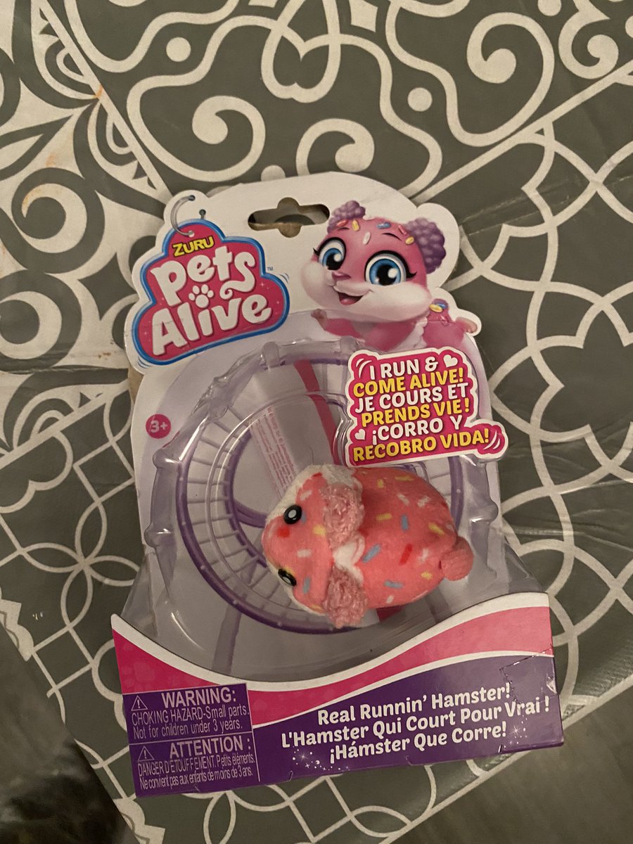 MouseSeal's tweet photo. Gus loves his new toy 🤣 https://t.co/hsvfs3XYTw