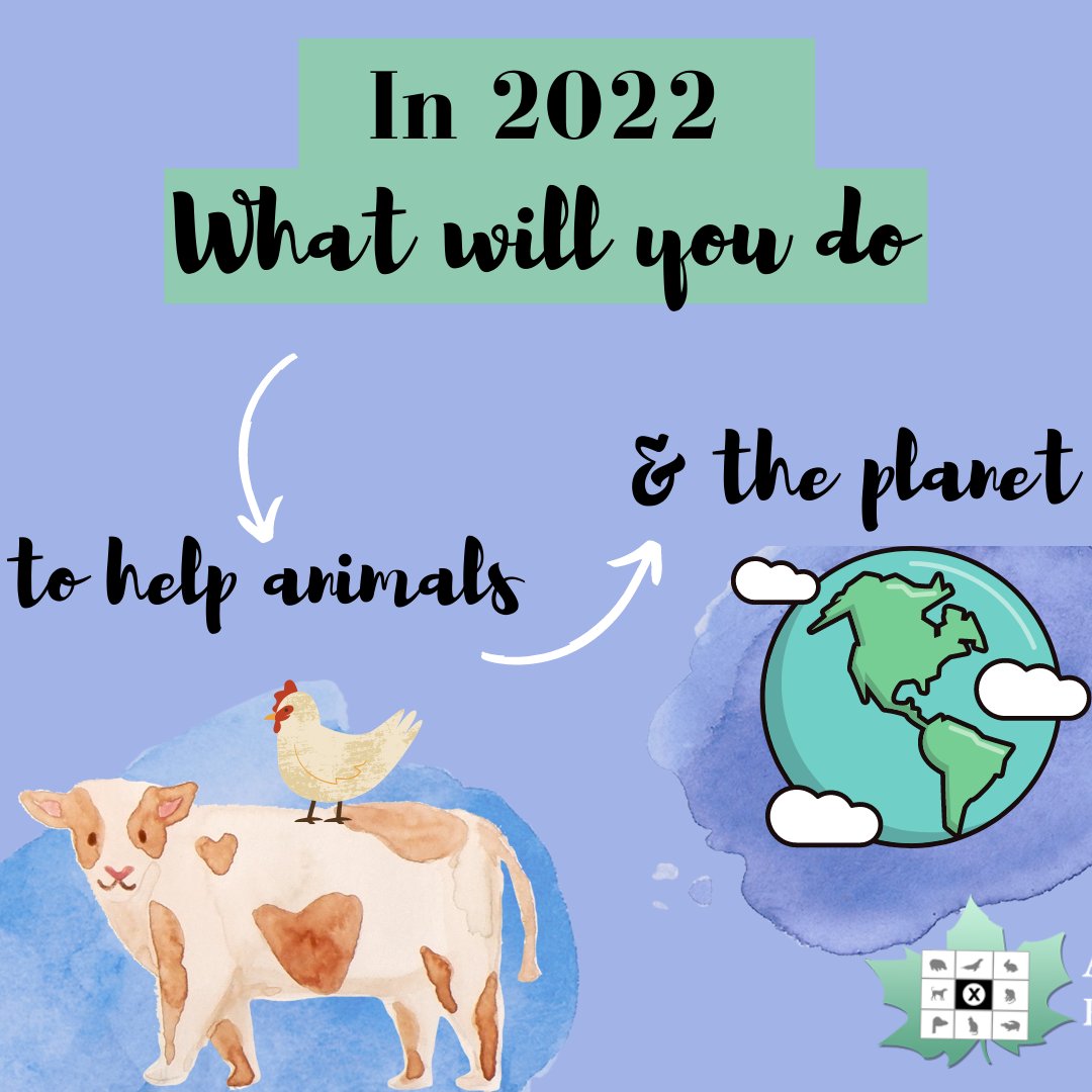 The new year is almost upon us! 💪What are some ideas or goals that you can commit to, big or small, to help animals and the planet in 2022? 🌱🐣🦝🌎 #newyears #2022 #compassion #Cdnpoli #animalrights #vegan #animal #politics #teamplanet #timeforchange #forksoverknives