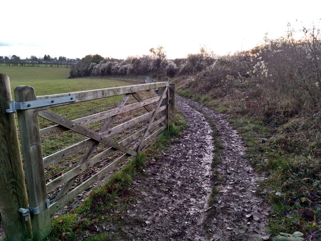 artcath's tweet photo. Topped up on vitamin D on a sunny but muddy walk around @HantsIWWildlife #BartonMeadows. Deer in the field & the hedgerows filled with Old Man's Beard looking like snow from a distance. The #sunset photo has shown up an arc in the sky. Anyone know what this is? #walking #sky https://t.co/HTSSKxCVut