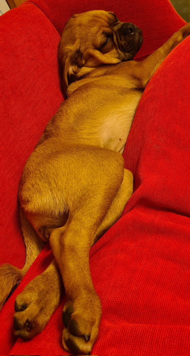 Clegg Bamber tweet media