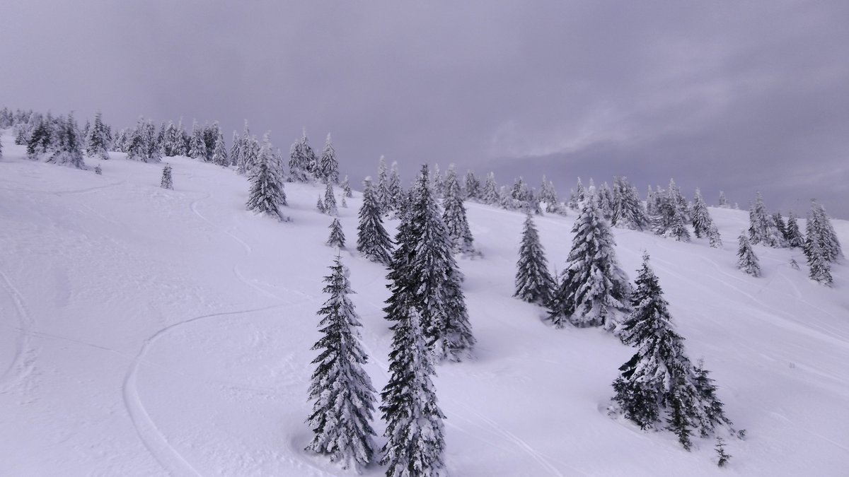 TRUCHwholeTruch's tweet photo. Ajs, ajs, baby ☃
#kopaonik #Glupaonik
#freeride
#montec
#trtmrt https://t.co/2vnCwpMAac