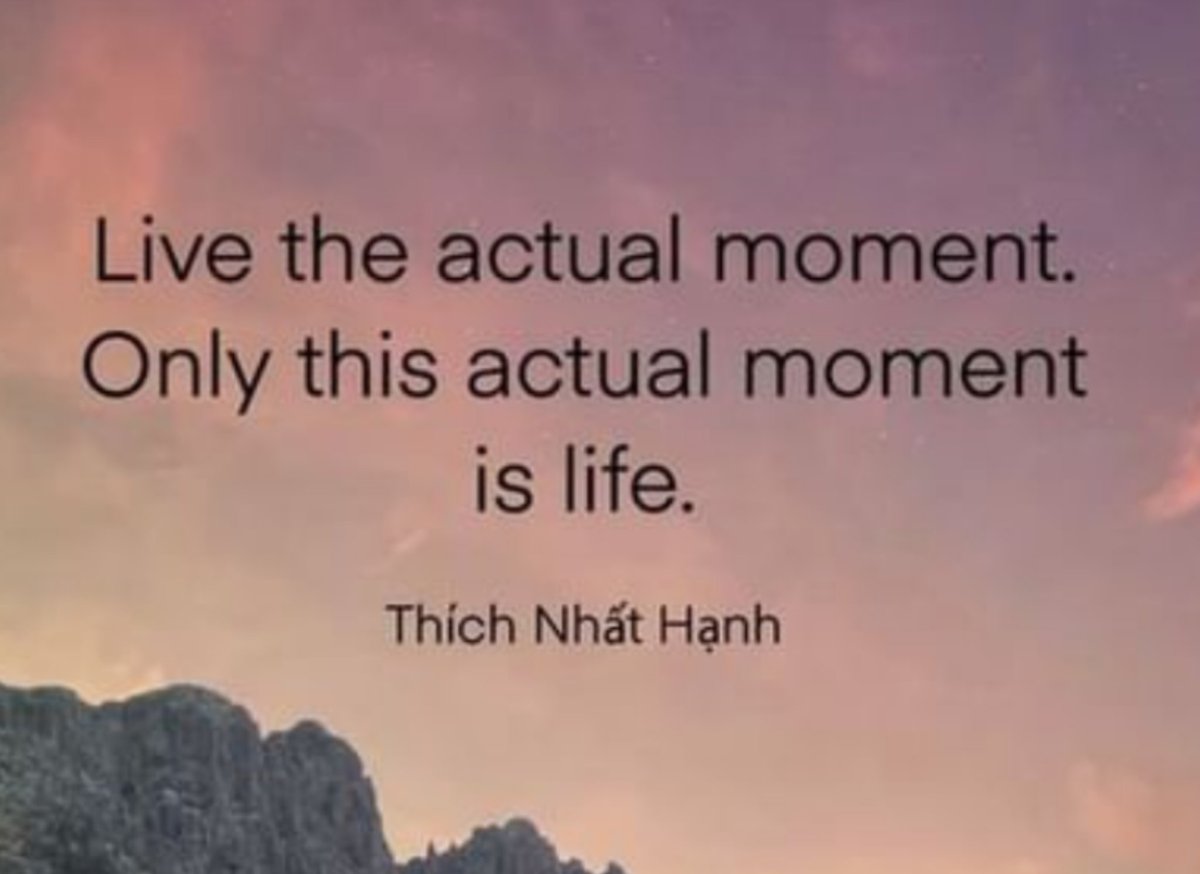 We must continually ground ourselves back to the present moment. All we have is right now. #meditation #pain #chronicpain #mindfulness <a href="/thichnhathanh/">Thich Nhat Hanh</a>