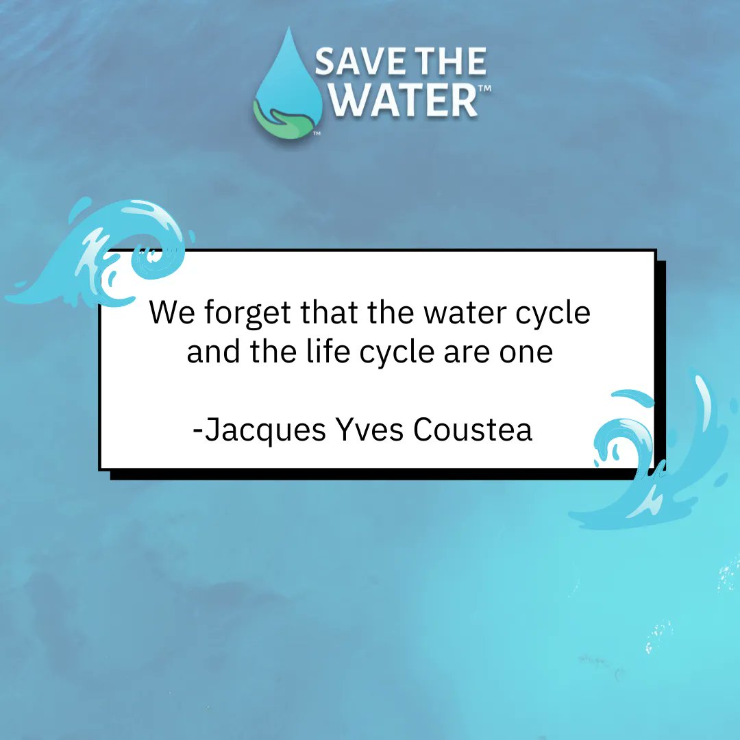 SaveTheWater's tweet photo. “We forget that the water cycle and the life cycle are one.” #SavetheWater #CleanOurWaters #EndtheWaterCrisis https://t.co/Buv3eBKCEi