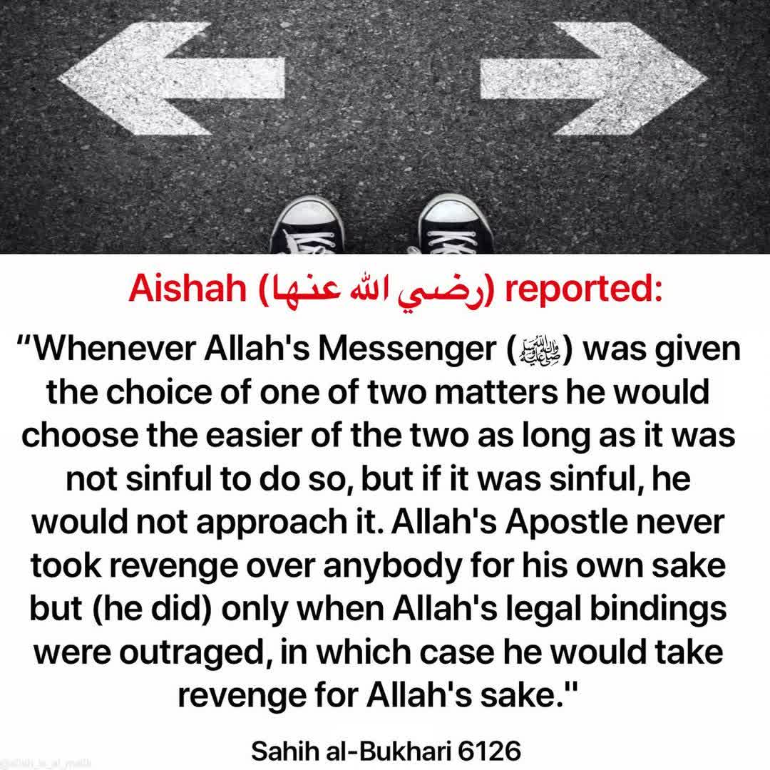 🇵🇸 tweet media