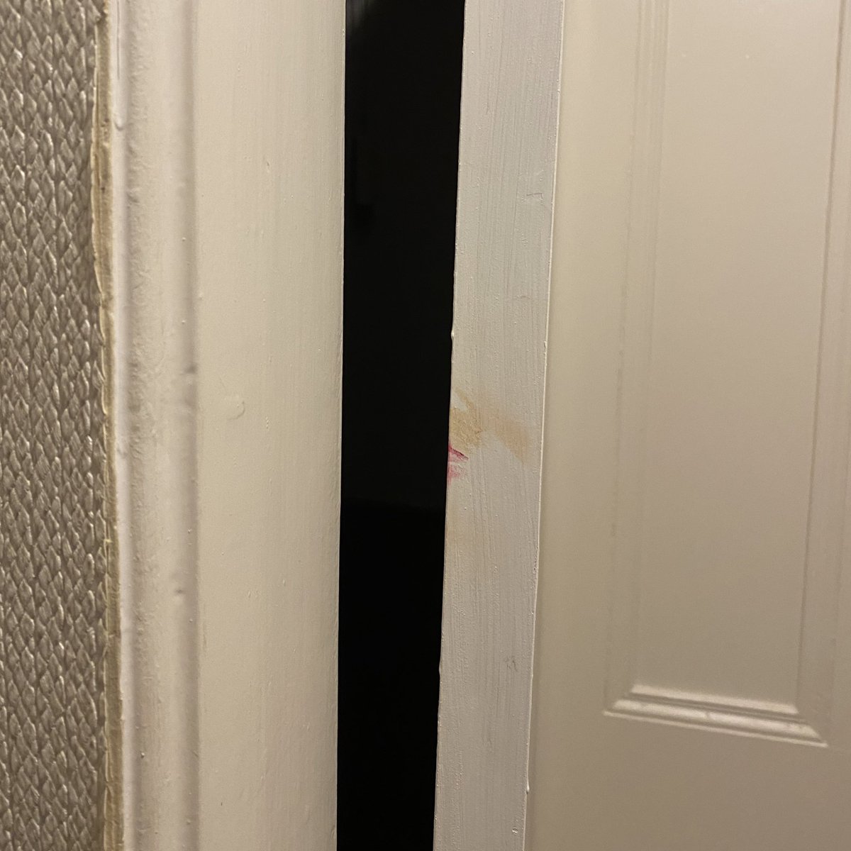 rachograham's tweet photo. I walked into a door today. Can’t stop laughing. https://t.co/gitypRlgAd