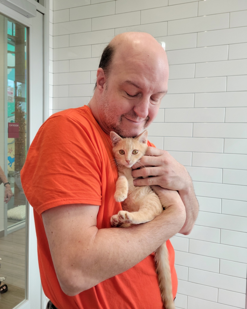 More happy tails heading home to ring in the new year in their loving forever home!! 🎆🎉😍

#adoptdontshop #furryfriendsgoinghome #petrescue