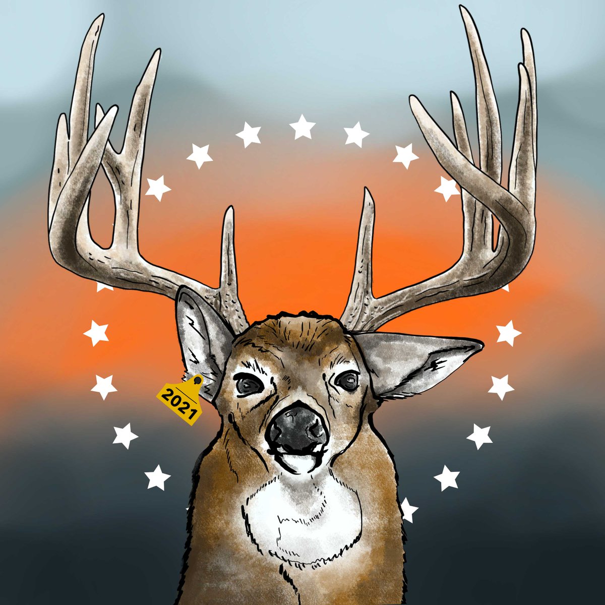 Whitetail Wall Hangers Club tweet media