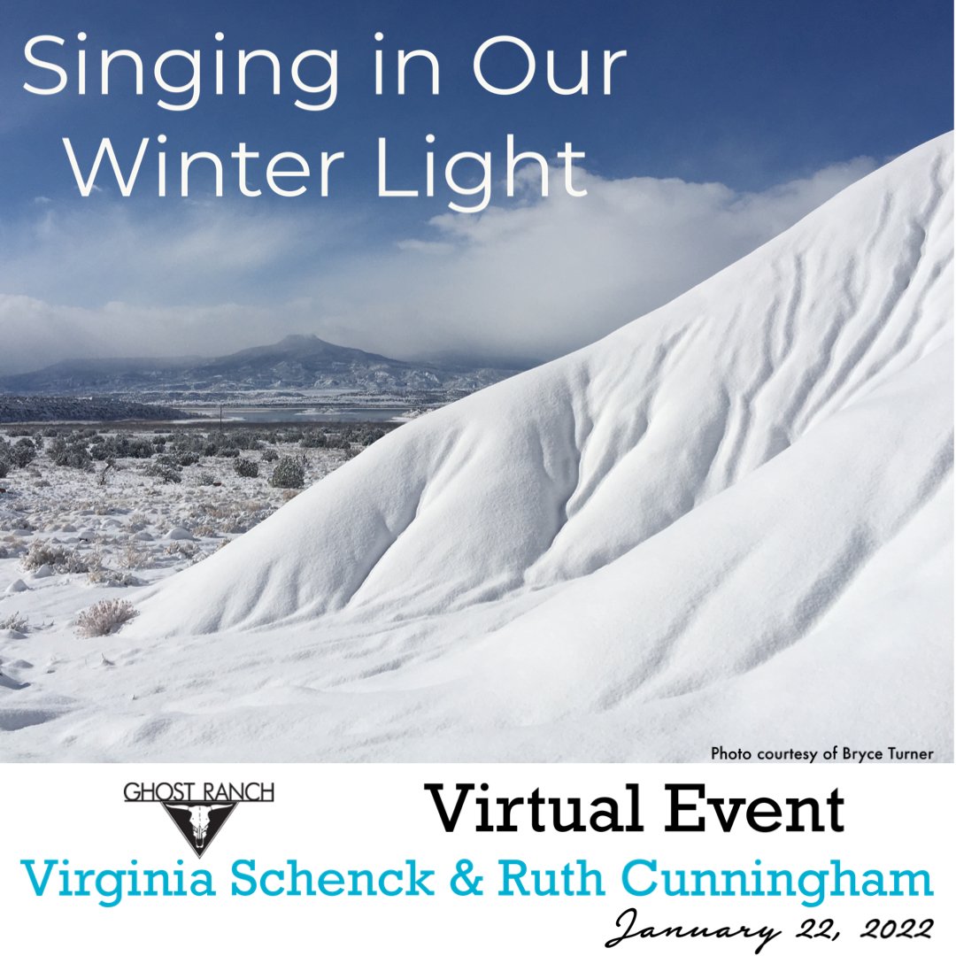 VA Virginia Schenck tweet media