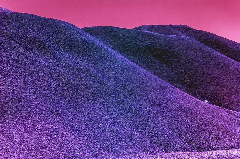 thomasgpetersen's tweet photo. #GeorgiaOkeefe #BlackPlace #Laborday 2021 #NoAdultSupervision 

#kolarivision #fullspectrum #pentaxk7 #colorinfrared #infrared_global #infraredphotography #ir  #IncredibleInfrared #infraredlandscape #infrared #creativeir #ig_infrared
#Purple #Violet #Re… https://t.co/akX7i2Jc8y https://t.co/lLEcYdrVEH