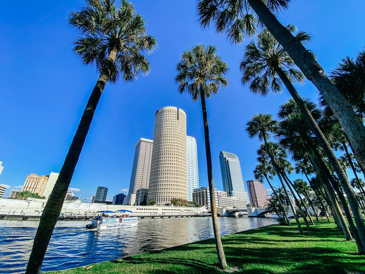 CityofTampa's tweet photo. Winter in Florida just hits different https://t.co/kqihu4y90u