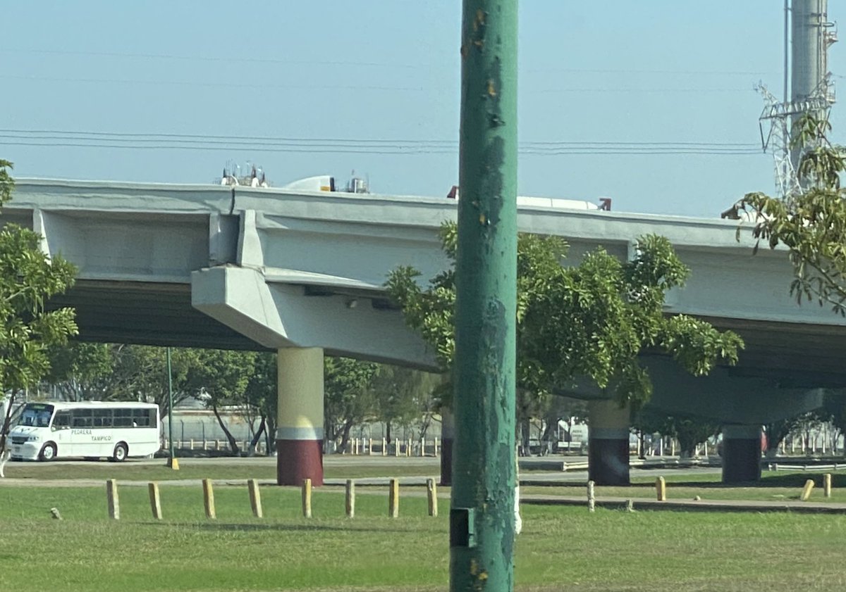 Ale Cárdenas tweet media