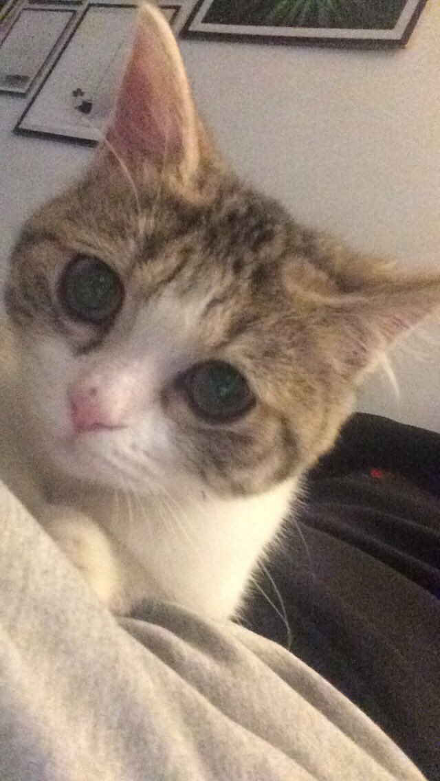 Kucak delisiyim. Hatırlatmak istedim. 🤗