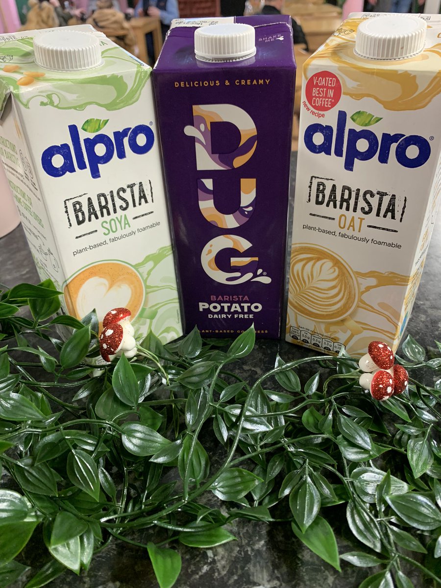 TheRockFairyHQ's tweet photo. Now 100% plant based at #PotionAtAfflecks๐ฎ with us waving goodbye to the last of our dairy milk yesterday! Find us on the 3rd floor of @Afflecksfox. We like our milk like we like our musicโฆalternative ๐ค https://t.co/RBTv19tYnz