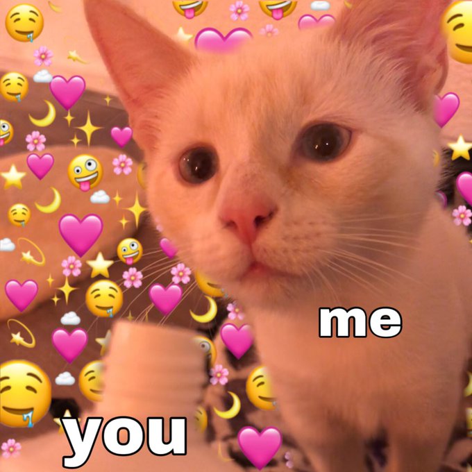 Feel like this pic of my cat has potential https://t.co/PCwrru9HKH<a href="/tag/petite"class="tags"><span>#petite</span></a><a href="/tag/usedpanties"class="tags"><span>#usedpanties</span></a><a href="/tag/amateur"class="tags"><span>#amateur</span></a><a href="/tag/pantyselling"class="tags"><span>#pantyselling</span></a>