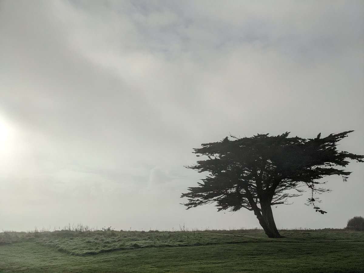 darrenmoore's tweet photo. Moody #latergrams from the South Coast on Boxing Day. https://t.co/uVlUMYKyHL