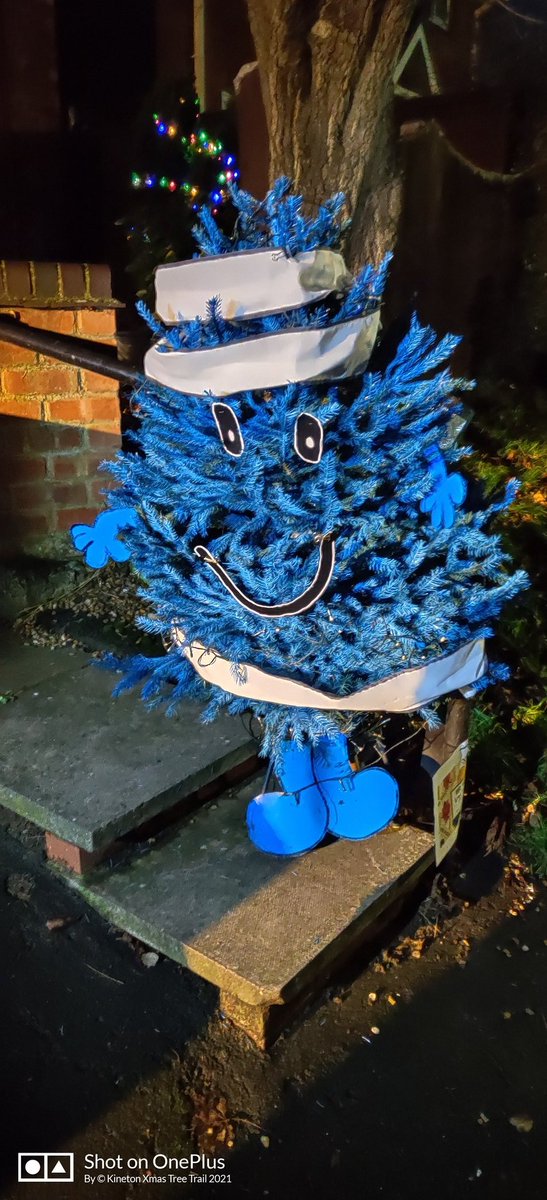 What an amazing tree transformation! Witness this character for yourselves down Mill Lane...