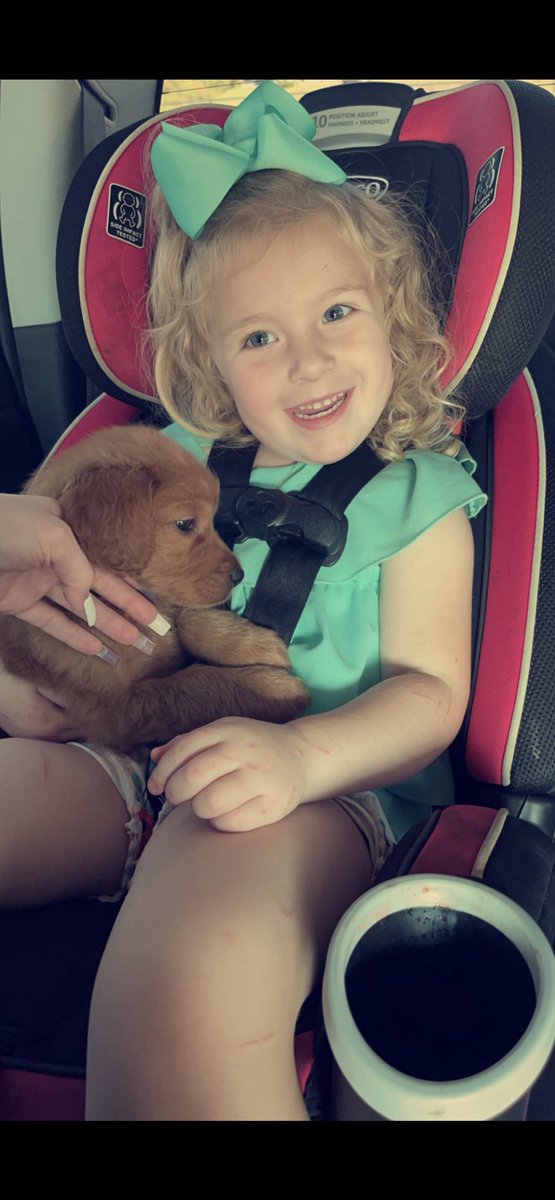 RaileyCarver's tweet photo. Happy 4th birthday to my favorite little sassy girl🥺❤️ https://t.co/J0NmtFLrzL