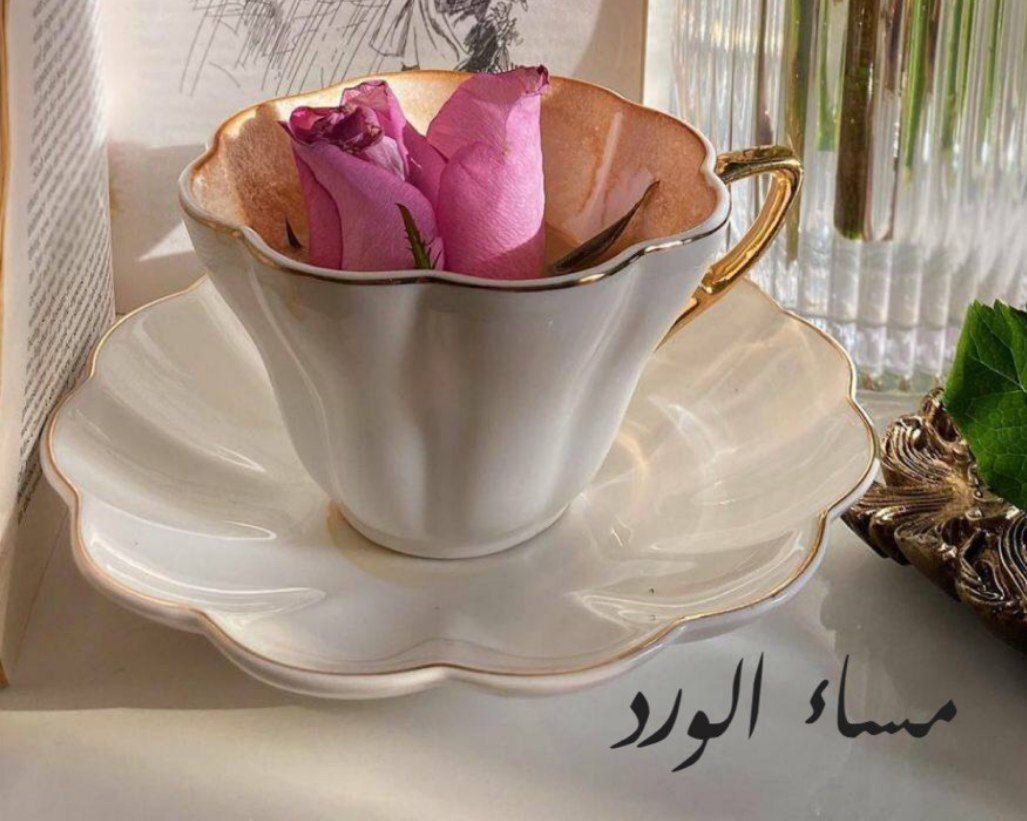 GA___HA tweet picture